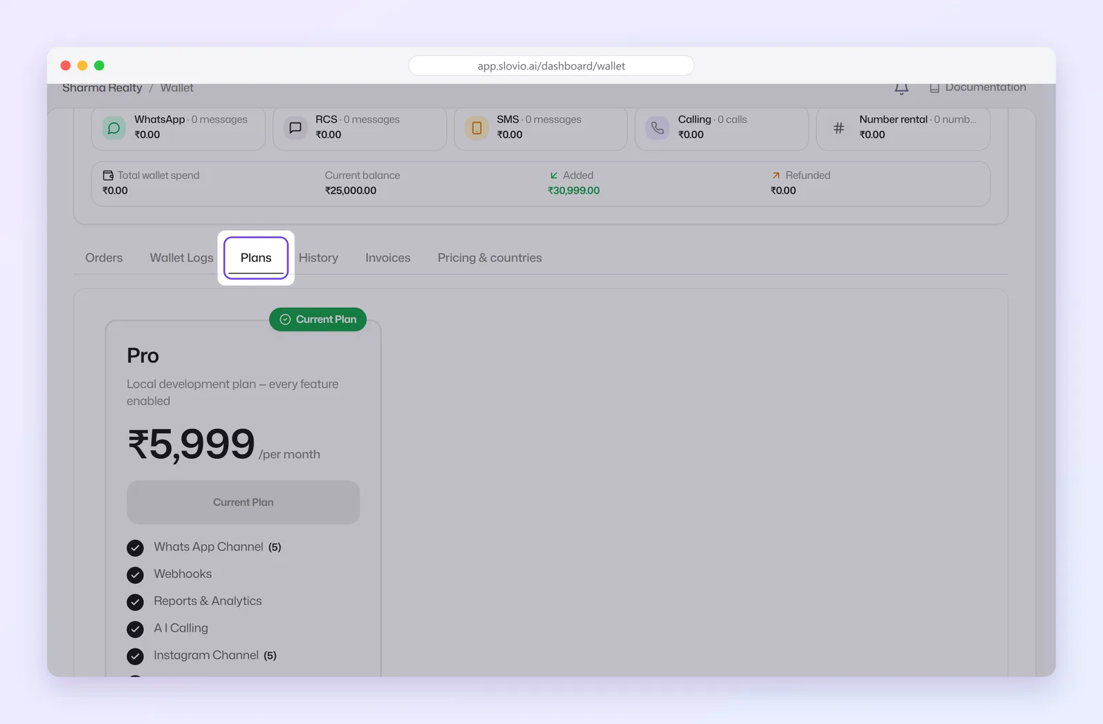 Subscription and billing page with the Plans tab highlighted and the current Pro plan card with its price and features